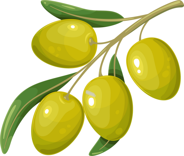 Green Olive Fruits